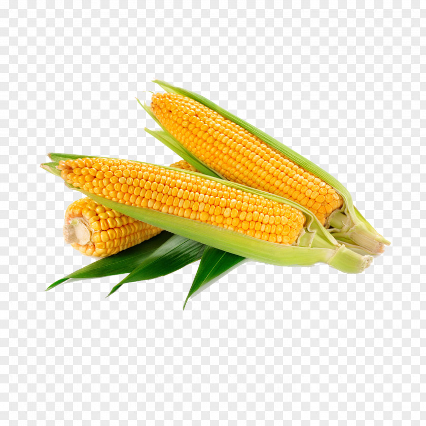 Corn Waxy Vegetable Crop Food Sweet PNG