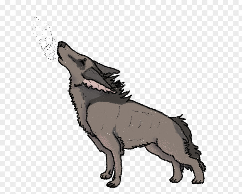 Dog Breed Snout Wildlife Paw PNG