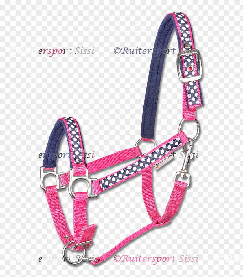 Horse Halter Equestrian Pony Bridle PNG