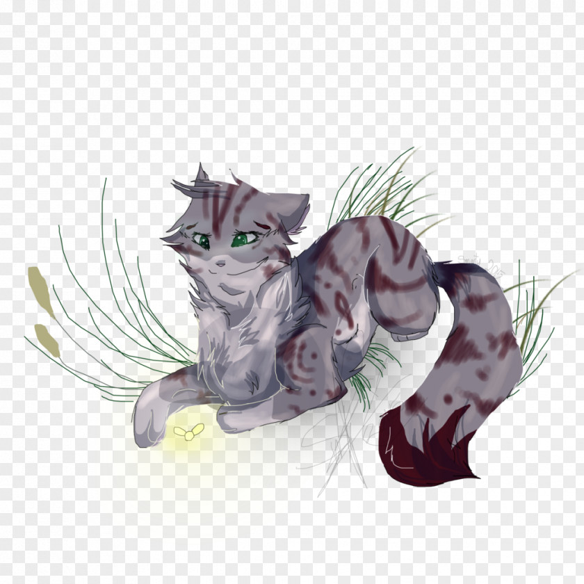 Kitten Tabby Cat Whiskers Paw PNG
