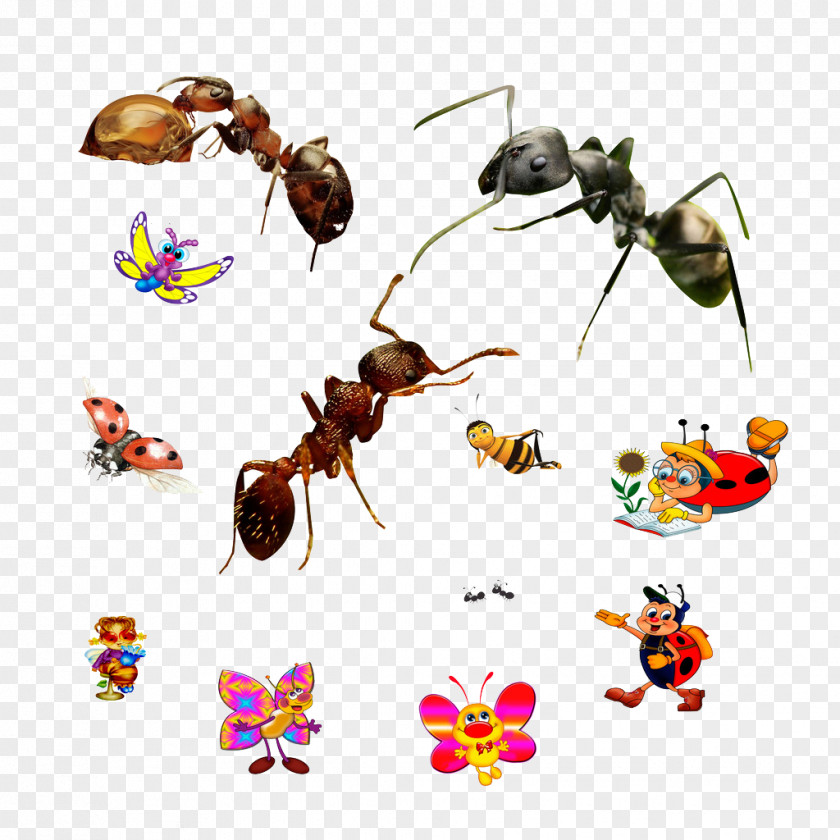 Ants And Butterflies Ant Honey Bee Insect Ladybird PNG