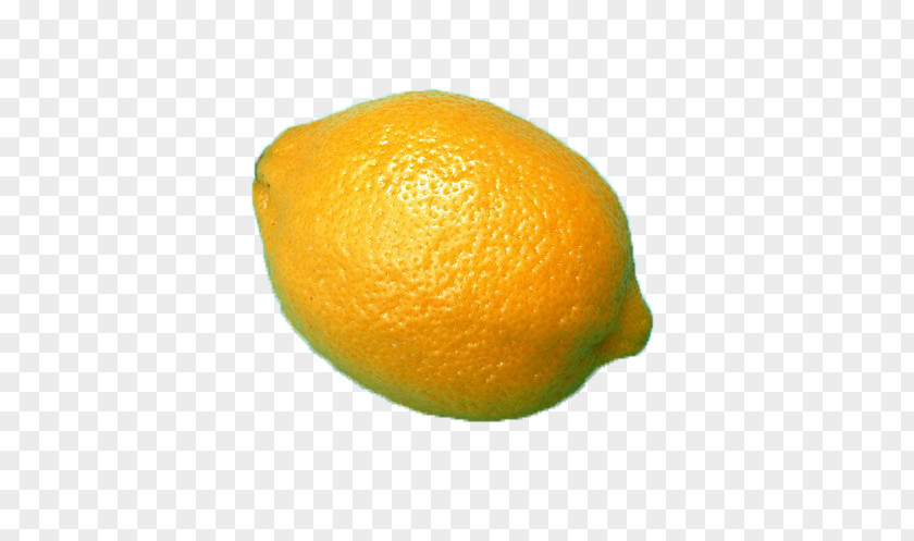 Fresh Lemon Clementine Rangpur Tangerine Tangelo PNG