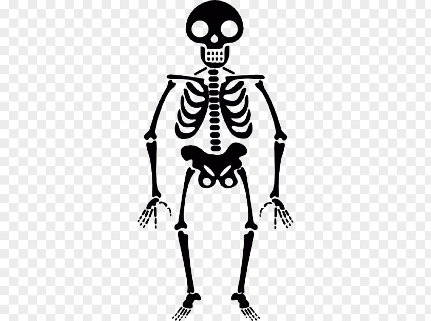 Halloween Skeleton Transparent Human Icon PNG