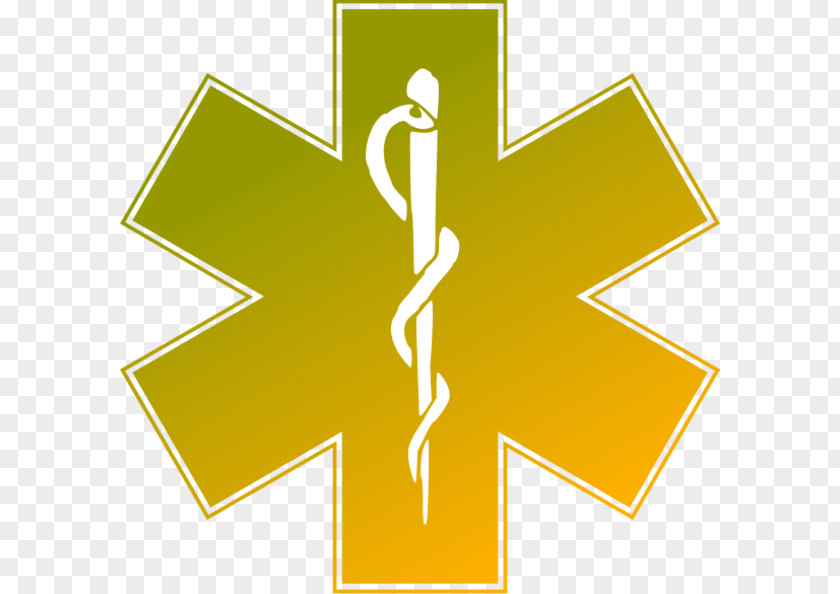 Medicine Emergency Medical Services Health Care Clip Art PNG