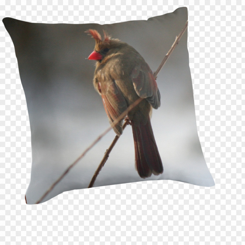 Northern Cardinal Throw Pillows Cushion Beak PNG