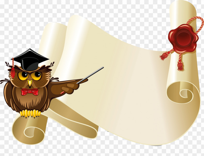 Owls Owl Photography Clip Art PNG