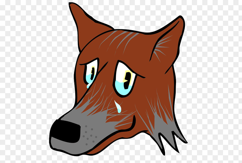 Puppy Red Fox Gray Wolf Whiskers Big Sad Snout PNG