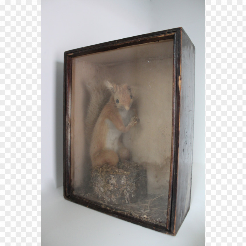 Red Squirrel Basket Picture Frames Theatrical Property Price Deer PNG