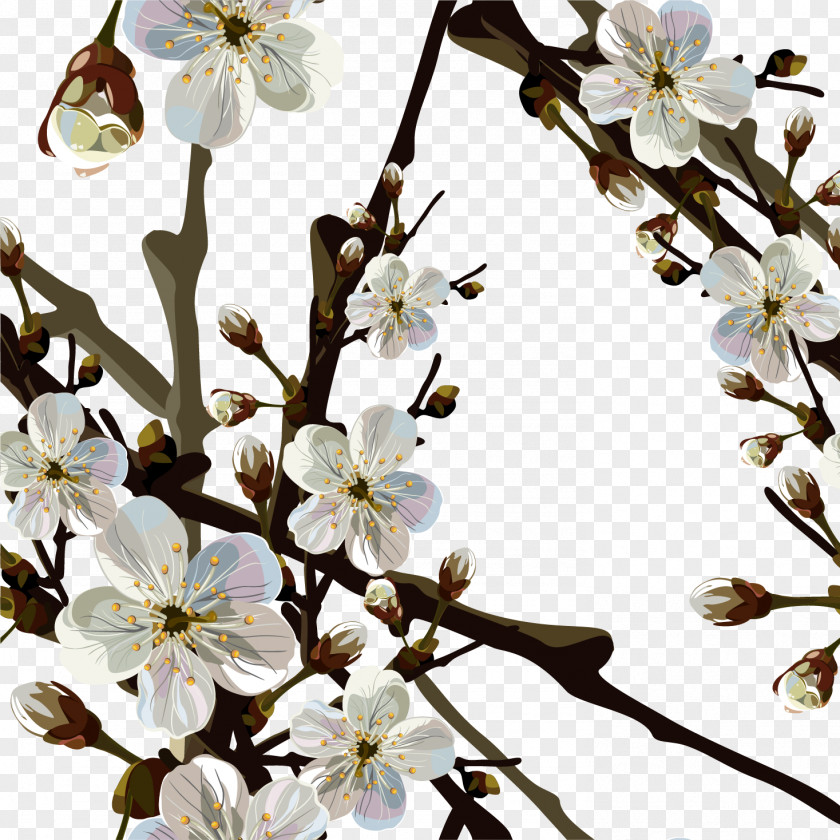 Spring Cherry Blossom Wallpaper PNG