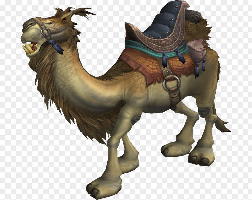 World Of Warcraft Dromedary Equestrian Rein Wowpedia PNG