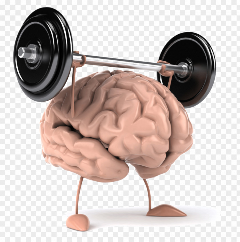 Brain Weight Training Exercise Olympic Weightlifting Strength PNG