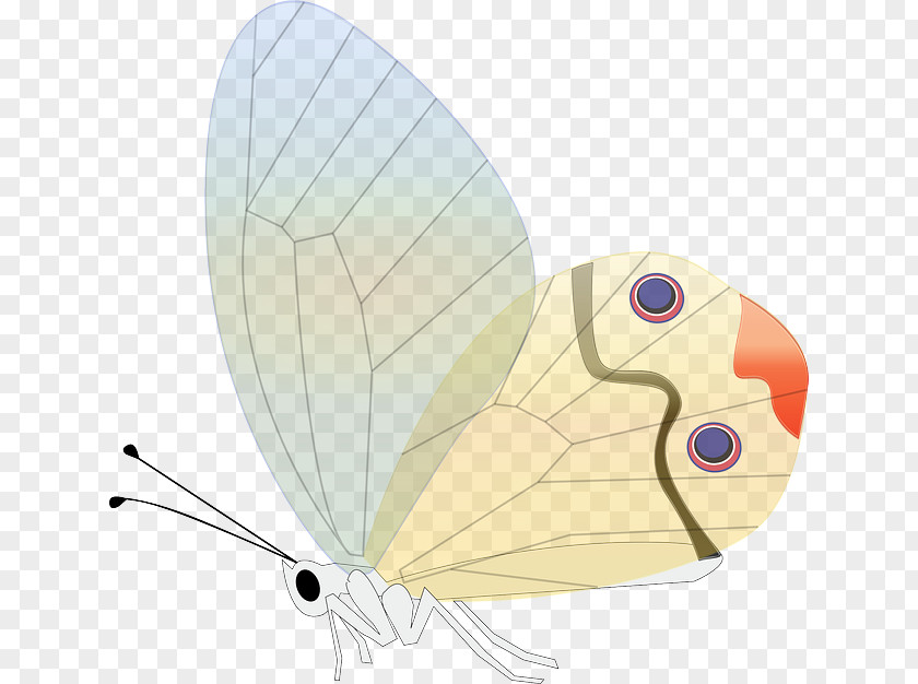 Buterfly Butterfly Greta Oto Luna Moth Clip Art PNG