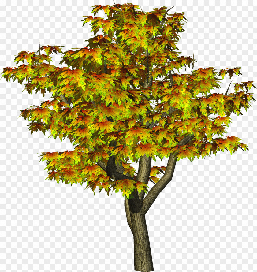 Flower Tree Cliparts Autumn Clip Art PNG