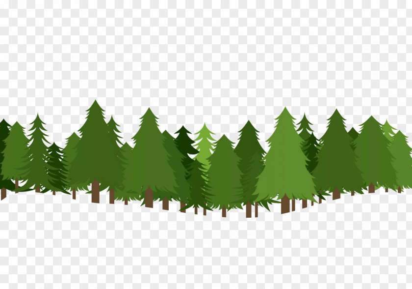 Forest Clipart Christmas Tree Pine Clip Art PNG