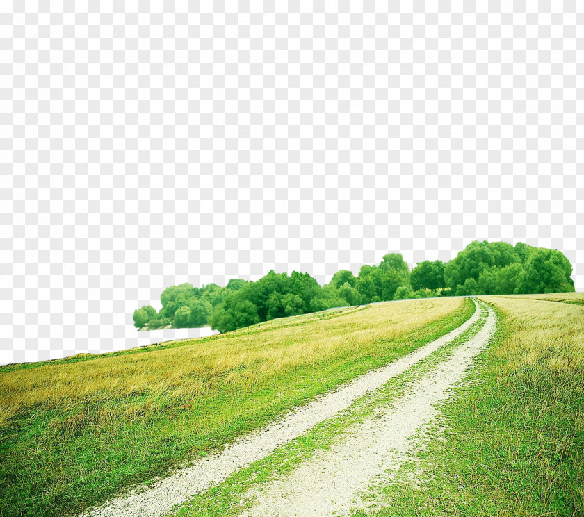 Green Grass Road PNG