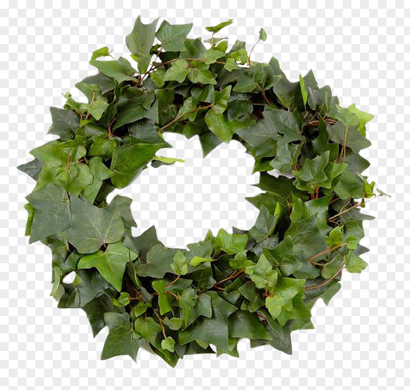 Green Leaf Garland Wreath Crown PNG