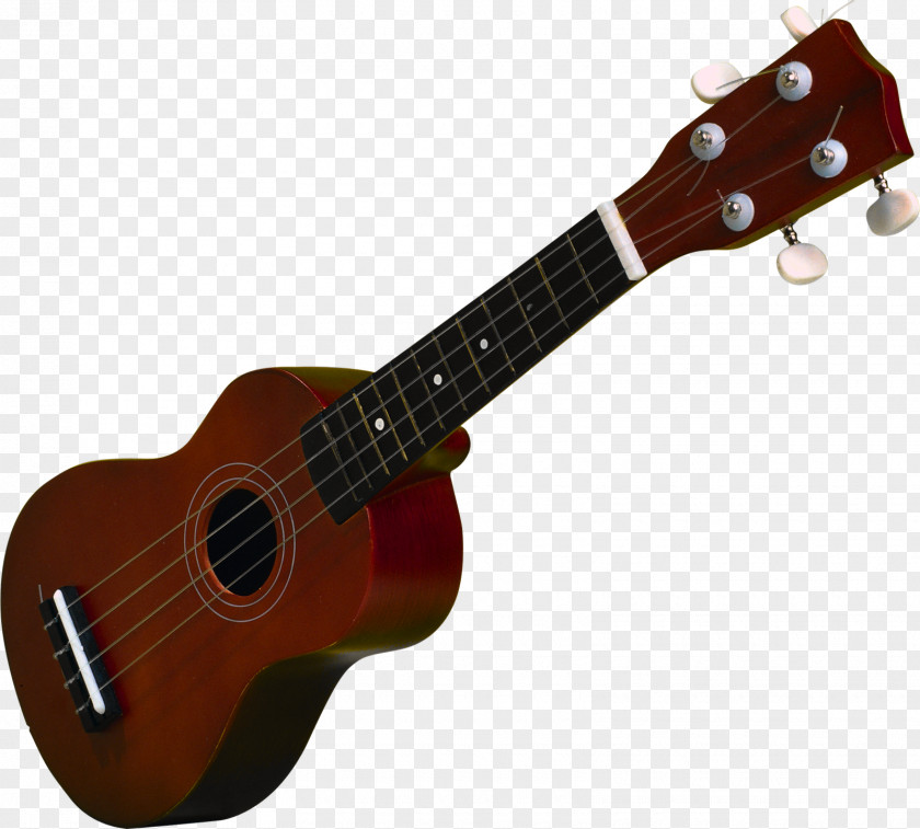 Guitar Ukulele Musical Instruments PNG
