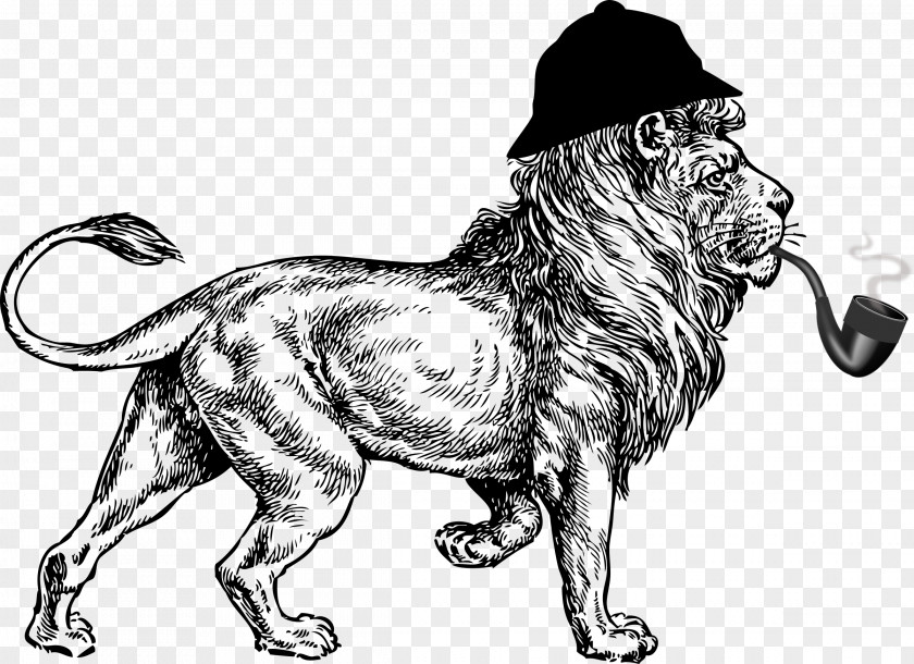 Lions Head Sherlock Holmes Museum Lion Clip Art PNG