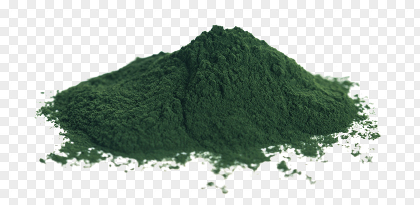 Spirulina Chlorella Vulgaris Algae Nutrient Powder PNG