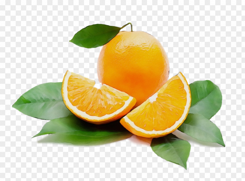 Sweet Lemon Lemonlime Citrus Key Lime Persian Fruit PNG