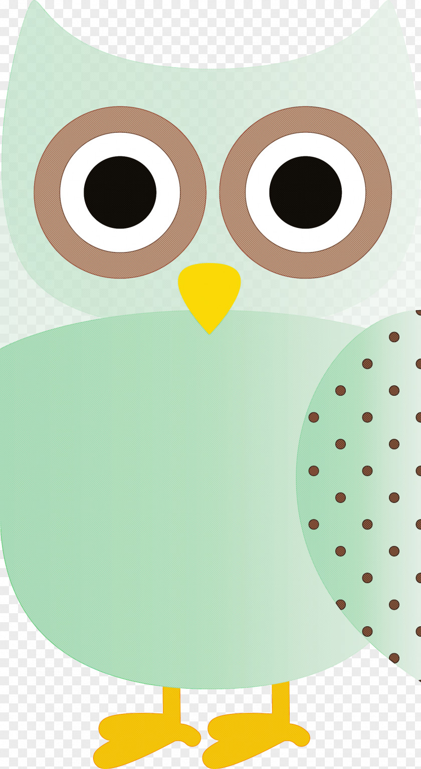 Birds Beak Cartoon Bird Of Prey Owl M PNG