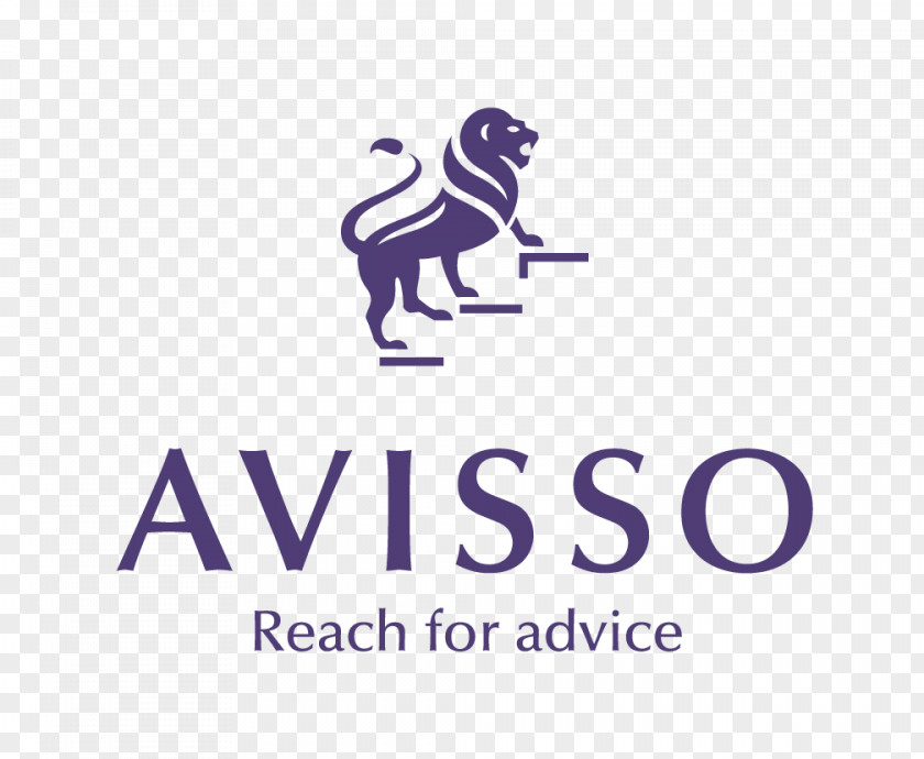 Business Avisso Grup Afacere Management PNG