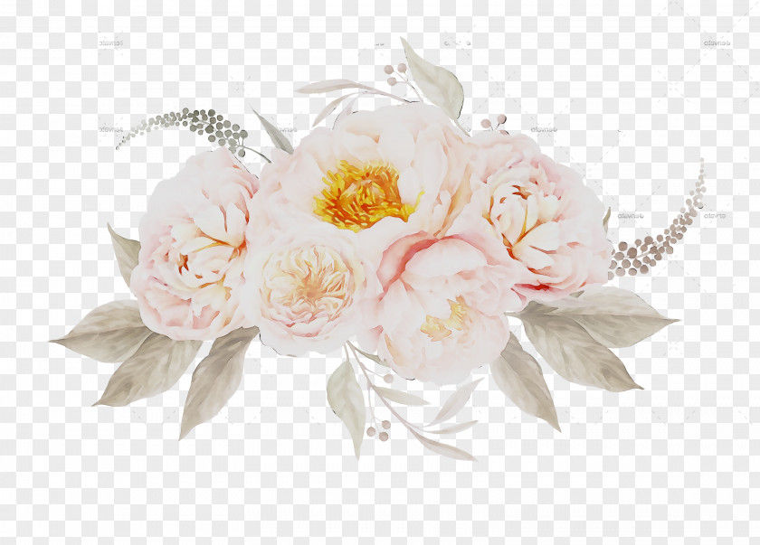 Cabbage Rose Floral Design Cut Flowers Flower Bouquet PNG