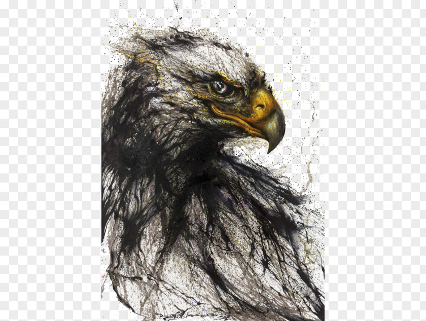 Eagle Tunan Painting Chinese Art Style PNG