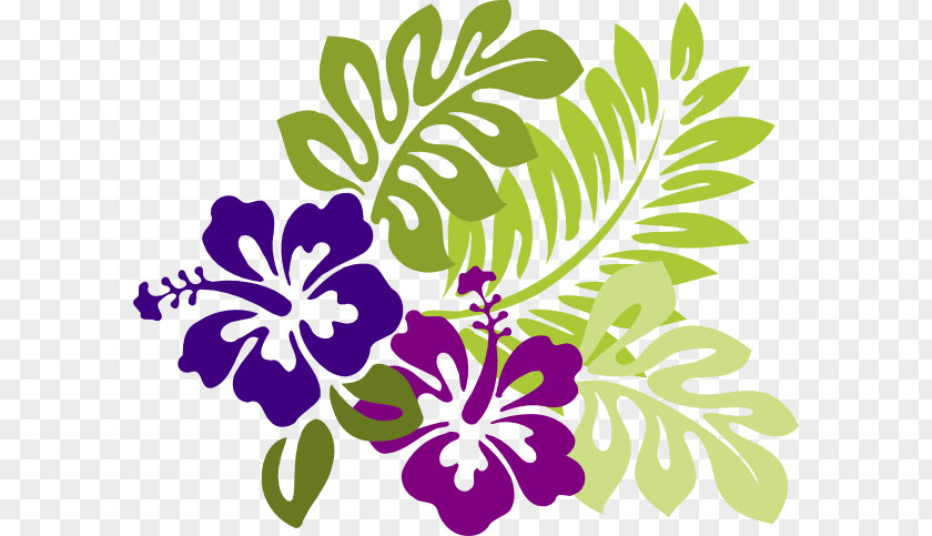 Hibiscus Flower Drawing Shoeblackplant Clip Art Openclipart Hawaiian Mallows PNG