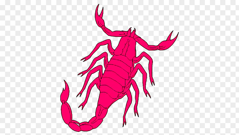 Scorpio PNG clipart PNG