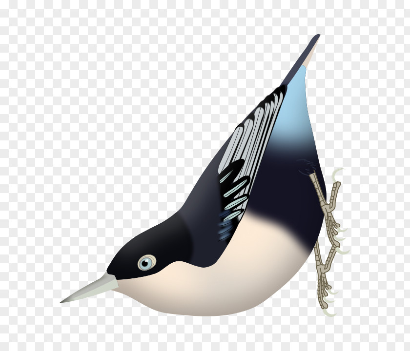 Bird Eurasian Nuthatch Corsican Blue PNG