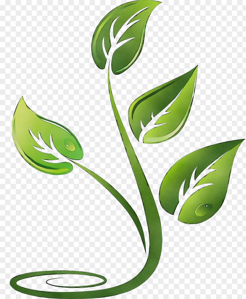 Monstera Deliciosa Tree Leaf Green Plant Clip Art Grass PNG