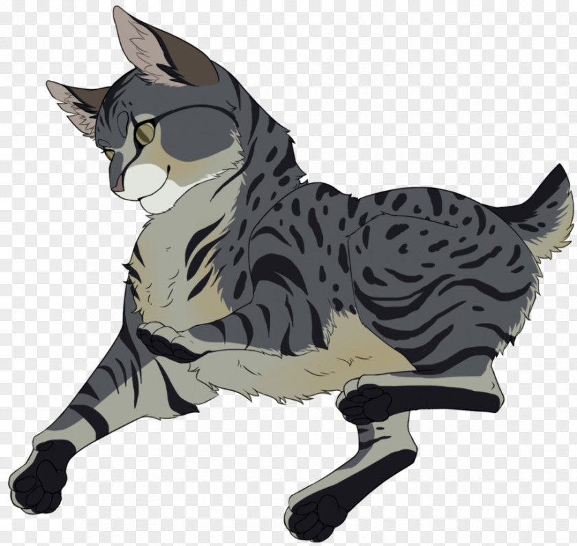Shading Manx Cat American Shorthair Wirehair California Spangled Whiskers PNG