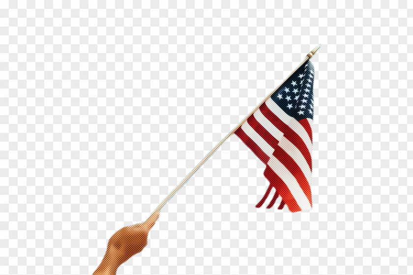 Veterans Day Flag Usa PNG