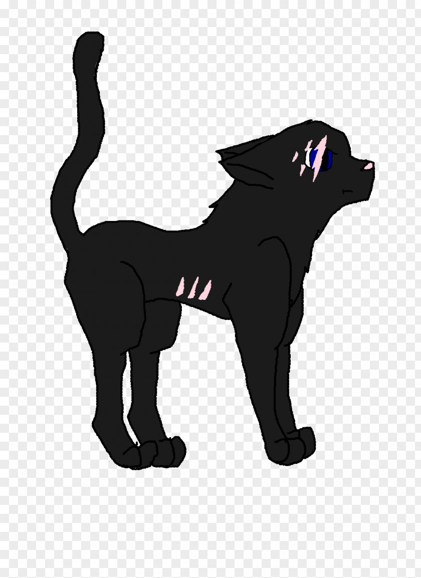 Cat Black Dog Breed PNG