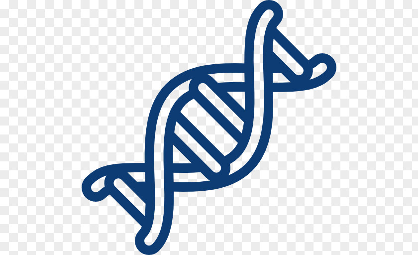 Double Helix DNA Chromosome Structure Science PNG