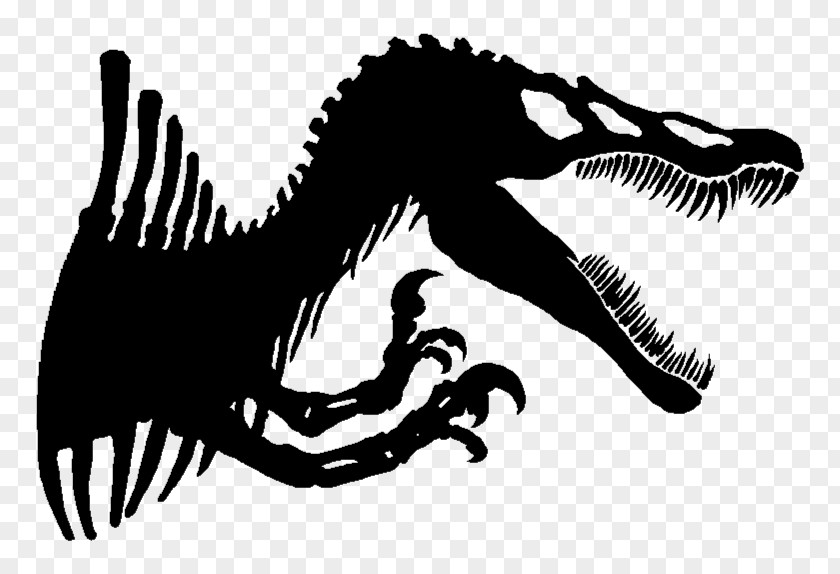Jurassic Park Spinosaurus Tyrannosaurus Dinosaur Velociraptor PNG