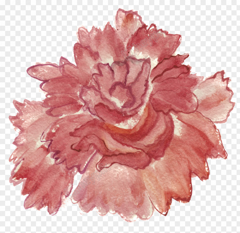 Painting Watercolor: Flowers Watercolor Peony Rose PNG