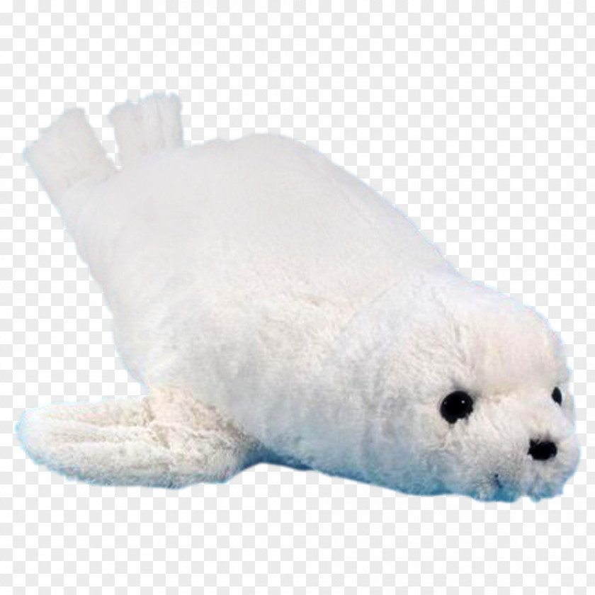 Stuffed Toy Polar Bear Animals & Cuddly Toys Harp Seal Plush PNG