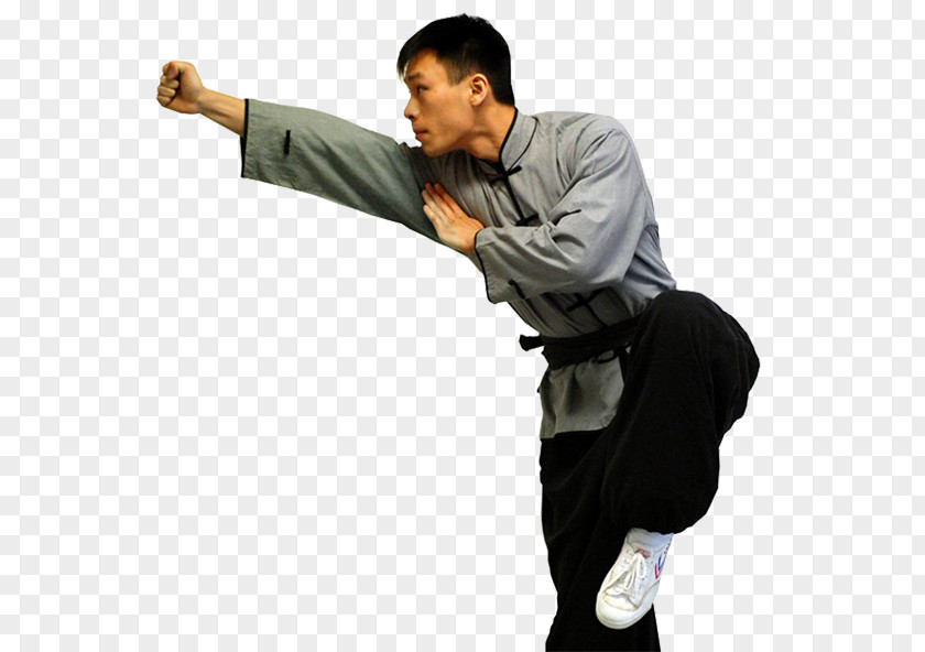 Boxing Styles Of Chinese Martial Arts Xing Yi Quan Yiquan PNG
