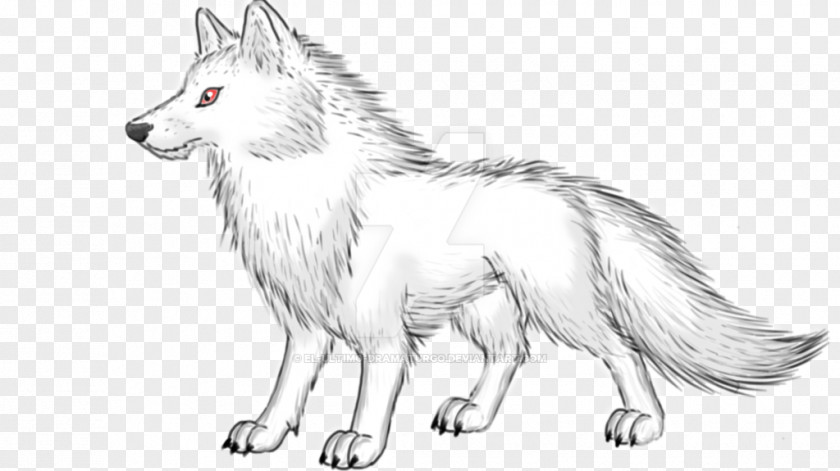 Dog Breed Alaskan Tundra Wolf Sketch Red Fox By Karina Halle PNG