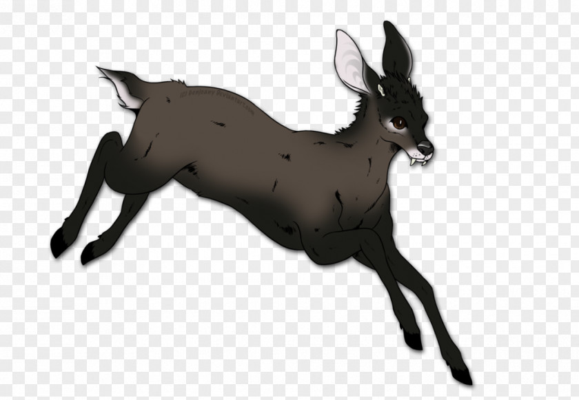 Musk Deer Deers Tufted Antelope PNG