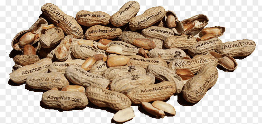 Roasted Peanut Vegetarian Cuisine Commodity Vegetarianism PNG