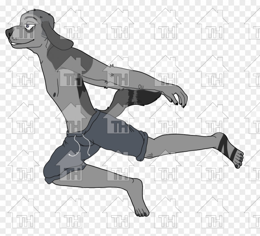 Rorona Zoro Product Design Mammal Shoe PNG