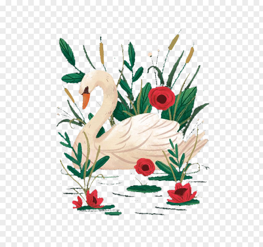 Swan Cygnini Floral Design Cartoon PNG