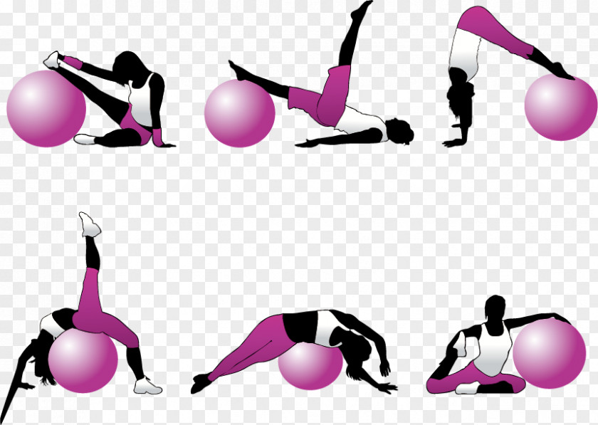 Creative Fitness Pilates Bodybuilding Centre PNG