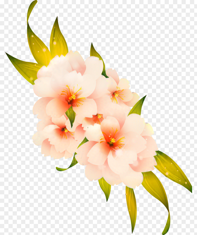 Floral Design Cut Flowers Flower Bouquet Alstroemeriaceae PNG