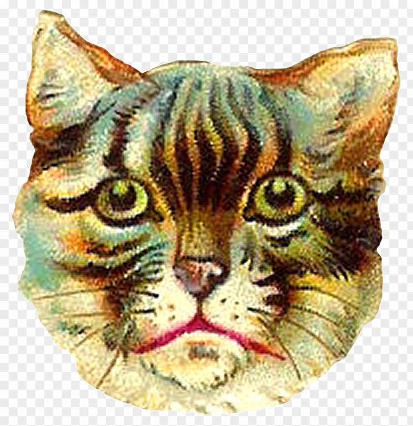 Hand-painted Owl Ragdoll Kitten T-shirt Victorian Era Clip Art PNG