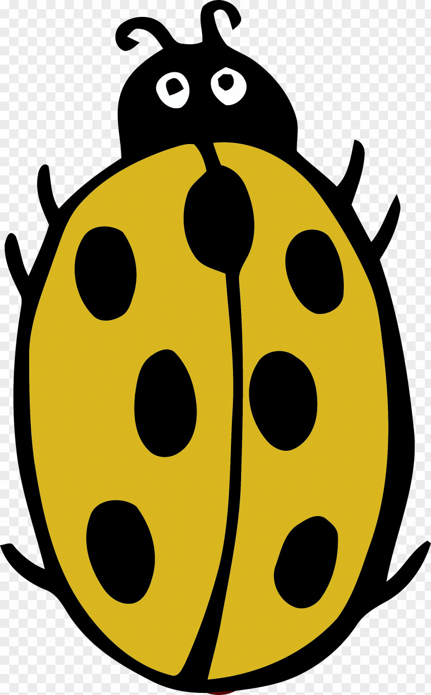 Ladybug PNG