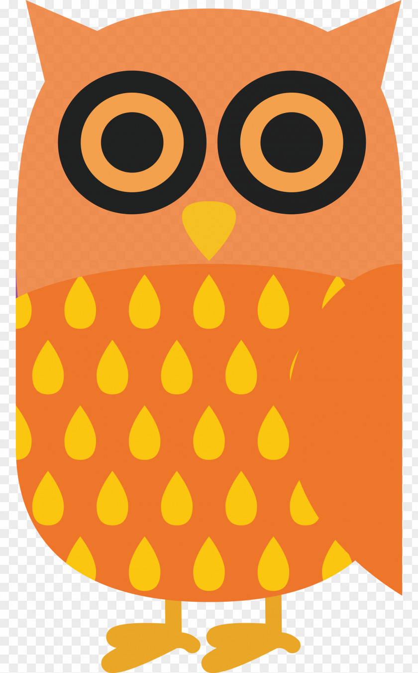 Owl M Yellow Meter Pattern Beak PNG